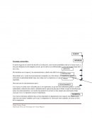 Analisis de vulnerabilidad.