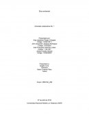 Universidad Nacional Abierta y a Distancia UNAD