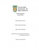 Metodos numericos. Los modelos