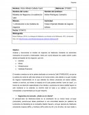 Modelos de Negocios y la cadena de valor