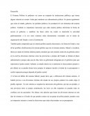 El sistema politico.