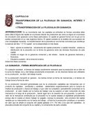 TRANSFORMACION DE LA PLUSVALIA EN GANANCIA, INTERES Y RENTA.