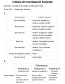 Trabajo de Investigación Evaluado.