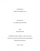 ESCUELA DE LAS CIENCIAS SOCIALES, ARTES Y HUMANIDADES