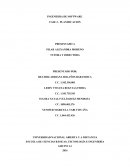 La Ingenieria de Software.