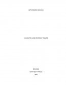 TRABAJO DE BIOLOGIA. ¿Cómo se producen las plantas con flores?
