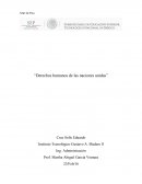 Derechos humanos de las naciones unidas”