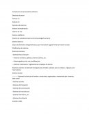 Introducción al pensamiento sistémico.