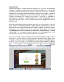 Evidencia 2 riesgos y peligros por sectores econimicos curso virtual sgsst sena.