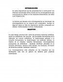 Microorganismos que se utilizan en la industria de la medicina.