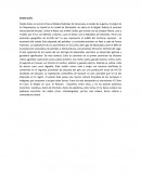 Estado zulia.