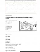 Prueba el loro pelado y otros cuentos.