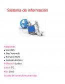 Sistema de información. Definición de sistema de información.