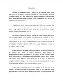 Ensayo - diseño organizacional.