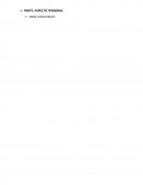 Ejemplo de proyecto personal.