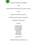 Informe analisis IVI.