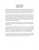 Análisis de la estrategia de operaciones en Sabritas: Un estudio de caso