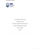 FENOMENOLOGIA DE LA RELIGION.