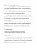 Según Schein - niveles de análisis de la cultura.