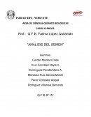 Casos clínicos Análisis del semen