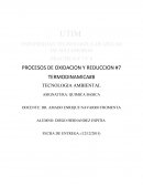 PROCESOS DE OXIDACION Y REDUCCION #7