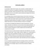 SOCIOLOGÍA JURÍDICA. ENSAYO.