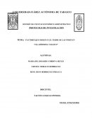 FUENTES QUE ORIGINAN EL CIERRE DE LAS PYMES EN TABASCO.