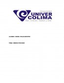 Tesina detencion preventiva.