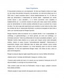 Ensayo: Super engordame