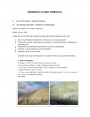 INFORME DE LA MINA TORRECILLA.