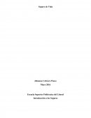 Tema: Introducción a los Seguros