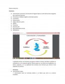 Informe sobre el Sistema endocrino.