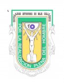 Probabilidad y Estadística. Objetivos de la estadística.