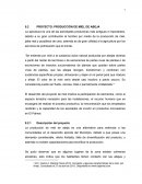 PROYECTO MIEL DE ABEJA.