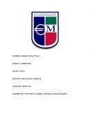 Ensayo de El Perfume.