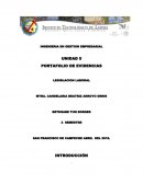 INGENIERIA EN GESTION EMPRESARIAL UNIDAD 5 PORTAFOLIO DE EVIDENCIAS