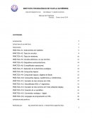 Manual de Prácticas Principios Eléctricos Enero-Junio 2016.