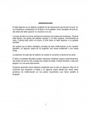 Resumen labio leporino