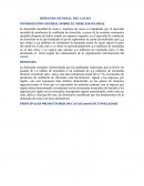 DEMANDA MUNDIAL DEL CACAO