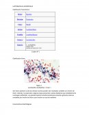 LACTOBACILLUS ACIDOPHILUS.