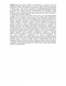 Region Andina y control de los pisos verticales La zona de la Sierra Andina (Tierras Altas)