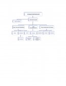 TEMA- COMUNICACION ORGANIZACIONAL