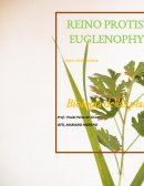 REINO PROTISTA. Este reino incluye a especies unicelulares eucarióticas autótrofas de tipo vegetal