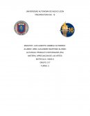 PRODUCTO INTEGRADOR (PIA)