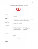 Análisis de la Información Macroeconómico sobre el comportamiento de las políticas económicas de Rusia.