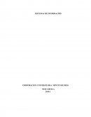 Elementos del sstema de informacion.