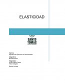 Elasticidad Ingeniería de Ejecución en Administración