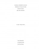 Educ 2020 Ensayo 5.2 Tarea "Posturas de la teoría del desarrollo cognitivo de Jean Piaget"