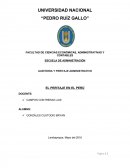 AUDITORIA Y PERITAJE ADMINISTRATIVO EL PERITAJE EN EL PERÚ