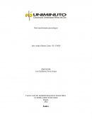 Plan transformador praxeológico.